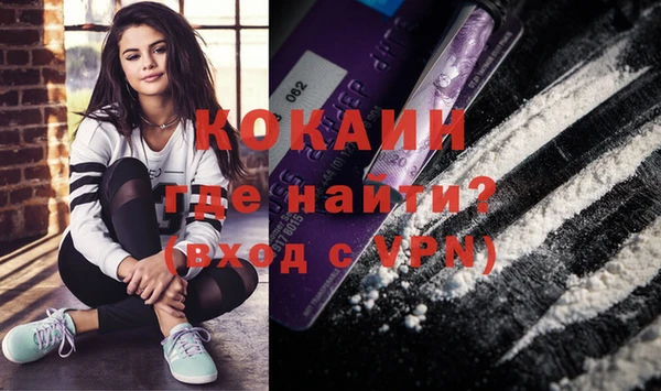 стаф Арсеньев