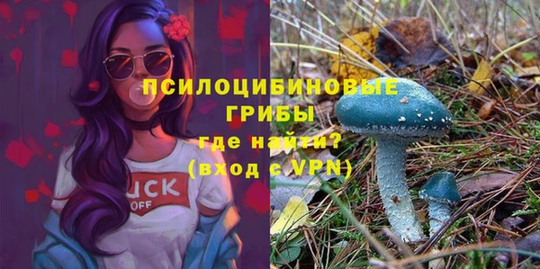 стаф Арсеньев