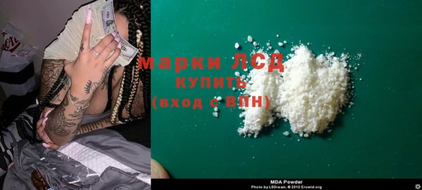 стаф Арсеньев