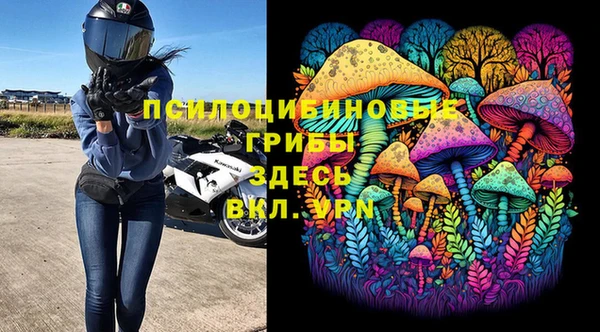 стаф Армянск