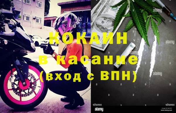 стаф Арсеньев