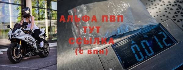 стаф Арсеньев