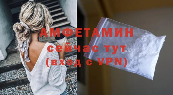 стаф Арсеньев
