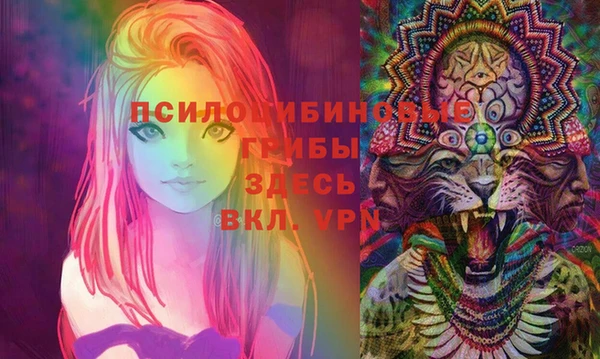 стаф Арсеньев